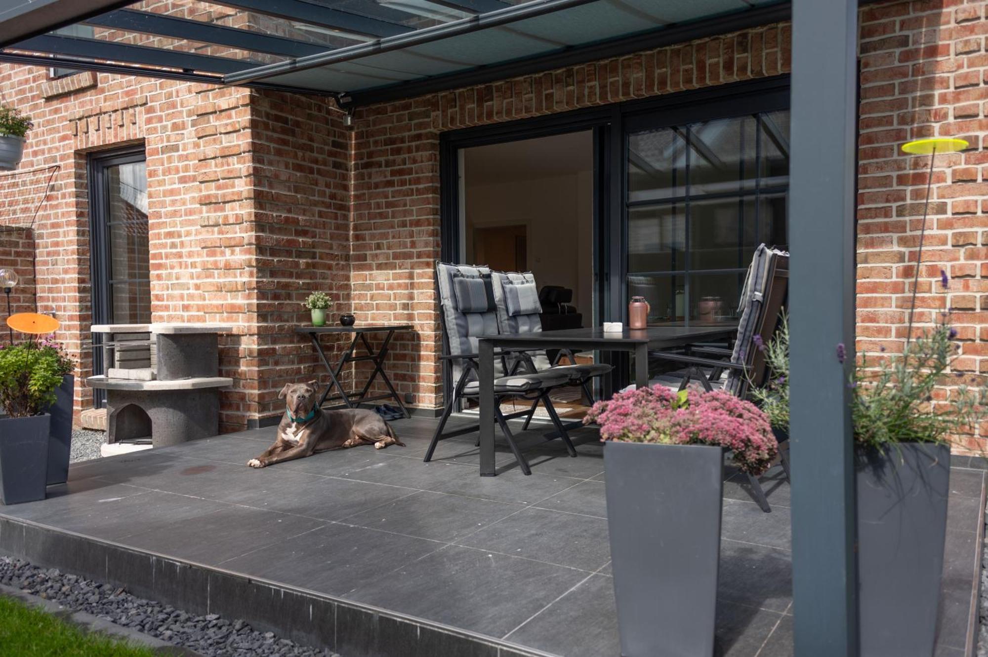 Haus Friesenkuss Mit Hund Villa Schillig Exterior photo